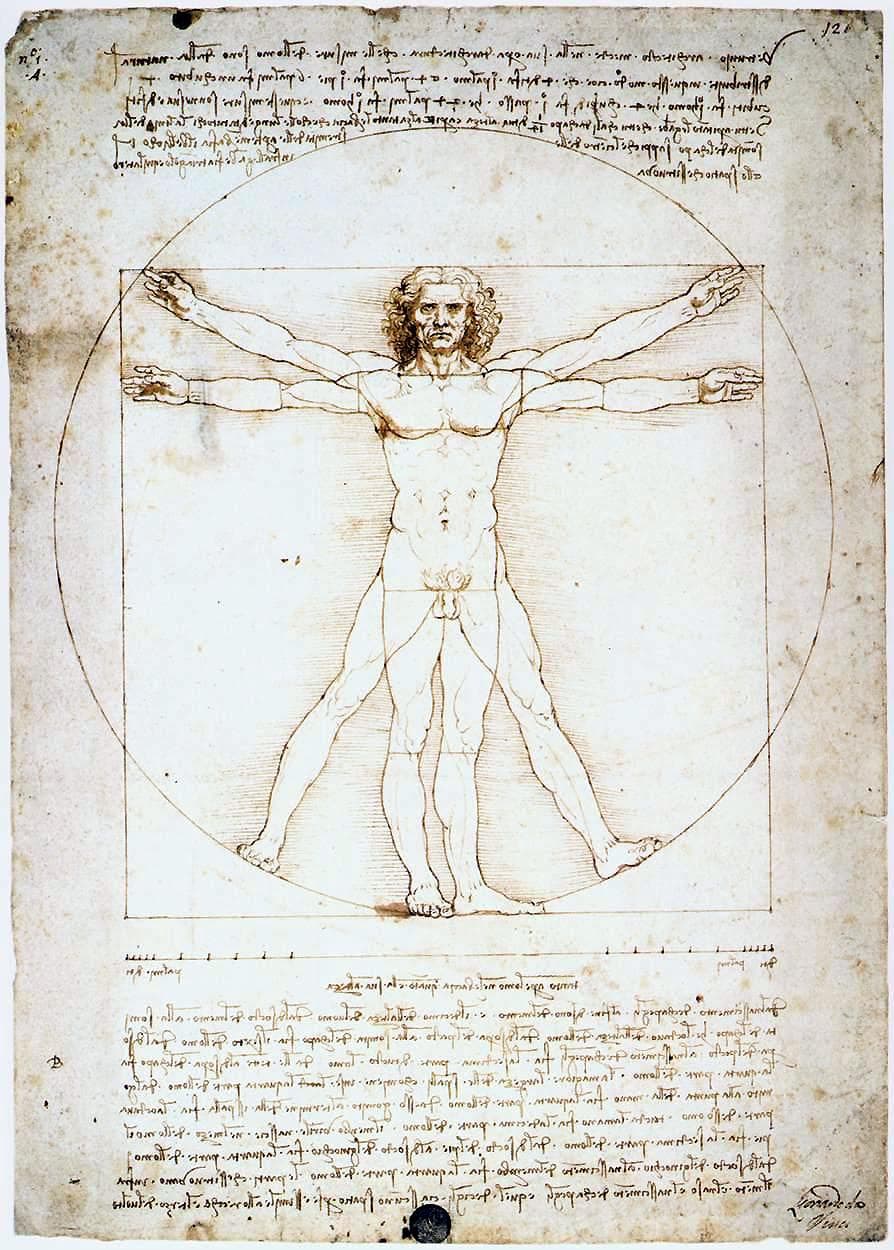 Leonardo da Vinci’s Vitruvian Man, a historical study of human proportions